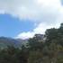 Pino de la Cadena (Valle de Siete Picos, Sierra de Guadarrama); visitas en madrid visitas madrid exc